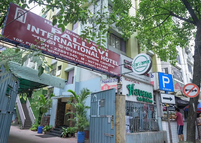 Pallavi International