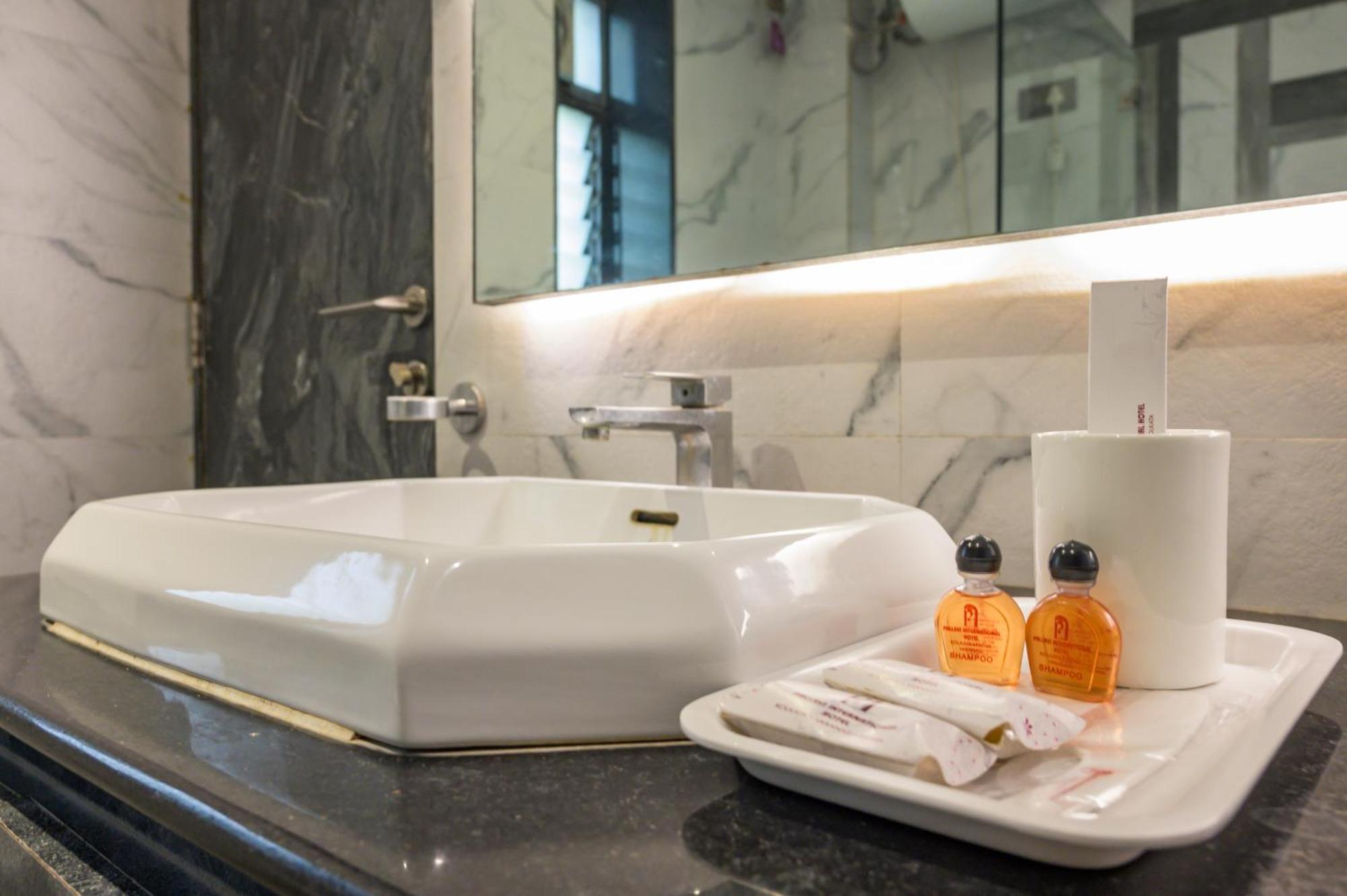 Hotel Pallavi International 3*